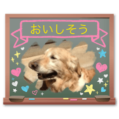 john_20260519221201
