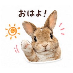 Ryusei_20260519221154