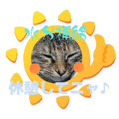 terumin_20260519190608