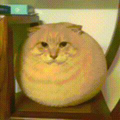omojipearcat