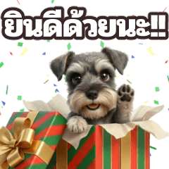 Moving! Schnauzer1