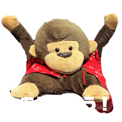 Yuka_20260512190524