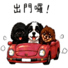 小琦的幸福小天地31