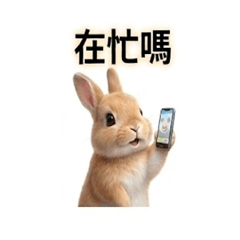 吉兔寶