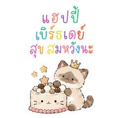 Catty with birthday cake : Big