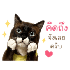 Cracker_20260428191808