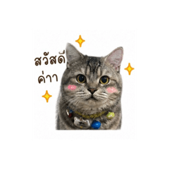 Pompam_20260428192340