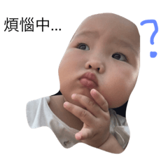 貝貝開心果