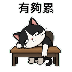 Tuxedo Cat Taiwan Truth 1