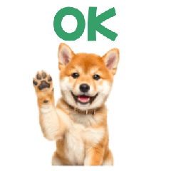 Shiba Inu Puppy Reply Chat Stickers