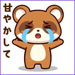 0322_Racoon Boy