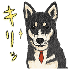 Lucky the Mixed Breed Dog Daily Sticker