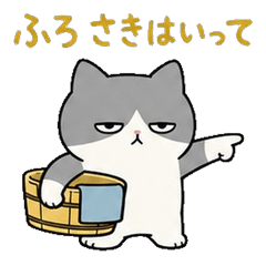 Grumpy-Eyed Cat | For Lazy Couples