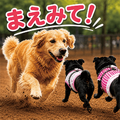 Momochan Daily