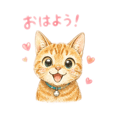 potupotu_20260519213642