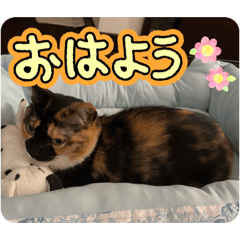 ito_20260519231604