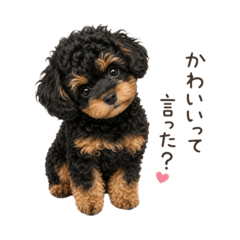 RIHO_20260519231206