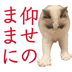 Yamana_20260519224958