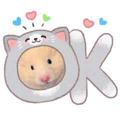 tomukunn_20260520031105