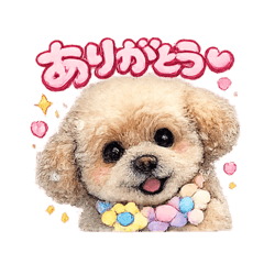 hana_20260520031738