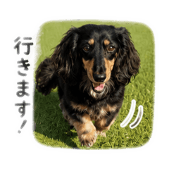 ito_20260520071519