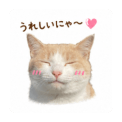 mochifumi_20260520072712