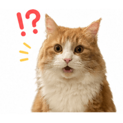 kitty_20260520073406