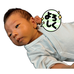 aki_20260519195312