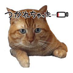 kyorompa_20260519205204