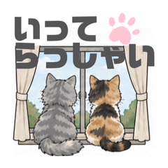 Blue Tabby Cat_20260520113822