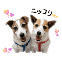 Mayurin_20260520114920