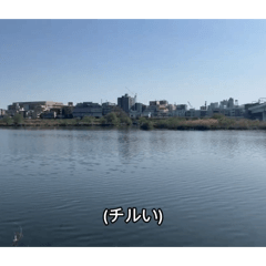 KD_20260520123129