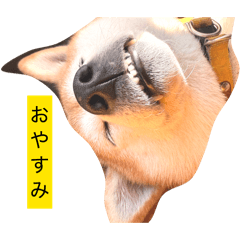 OKHAU