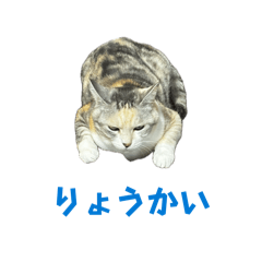 ri-man_20260520122256