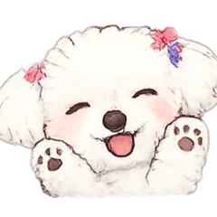 maru_20260519222352