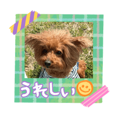 miki_20260519222346