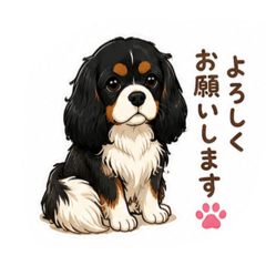 nao_20260520132319