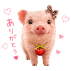 MOUfU_20260519230656