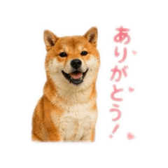 AYANO_20260520151430
