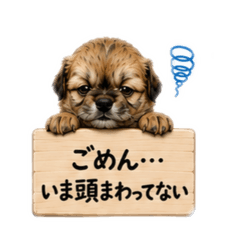 Hachi_20260520161823