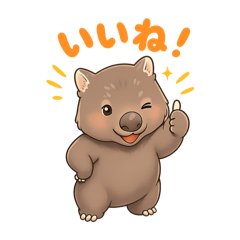 Shinya_20260520082102