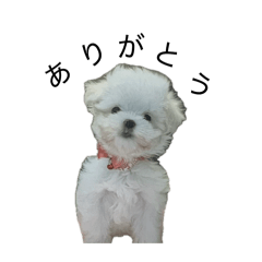 Saki_20260520171748