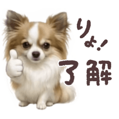 mana_20260520172724