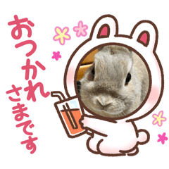 Yuka_20260520182451