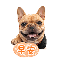 胖虎の日常