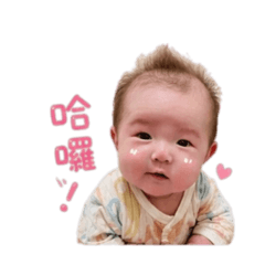 茉mo1