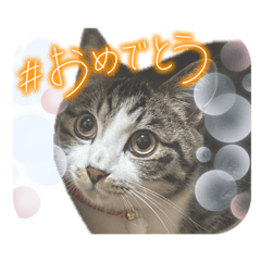 on_20260520185801