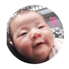 Koto_20260520192538