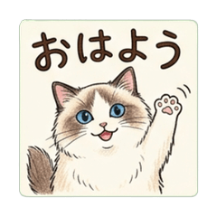 Cute Ragdoll Daily Stickers