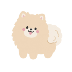 Fufu the Pomeranian